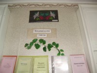 /album/skrinya-tv-ucoz-ru/pb060090-jpg/